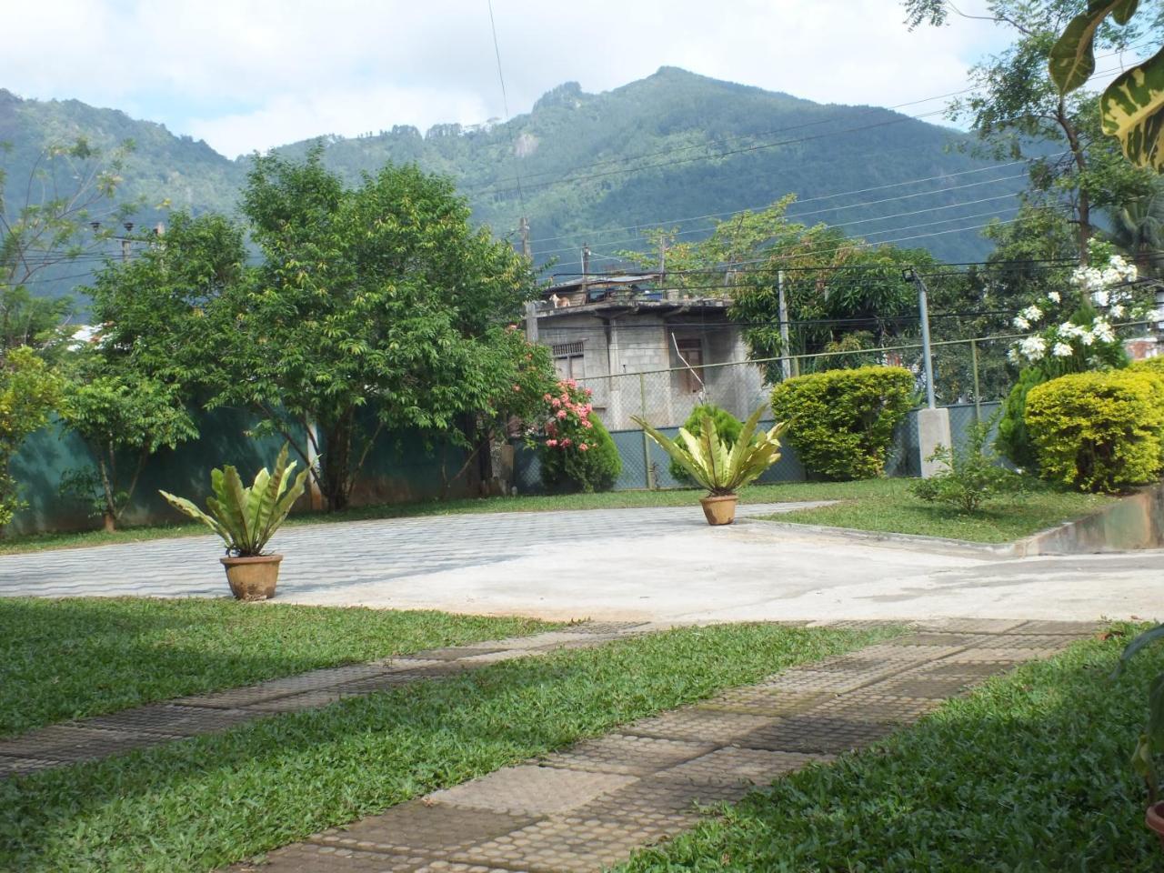 Hillsview Rest & Guest House Matale Ngoại thất bức ảnh